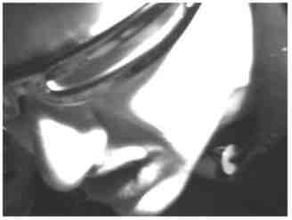 groar.jpg (4946 Byte)