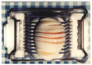 eischneider.jpg (10440 Byte)