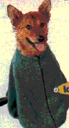 hundebademantel.gif (8239 Byte)